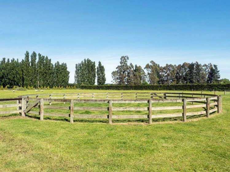 82 Wilkins Road Tinwald_17