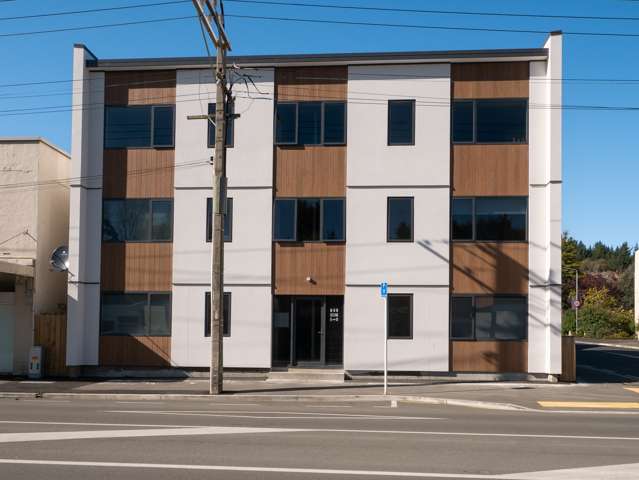 Brand new two bedroom two bathroom apartment