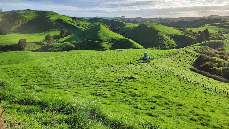 794 Tariki Road Ratapiko_15