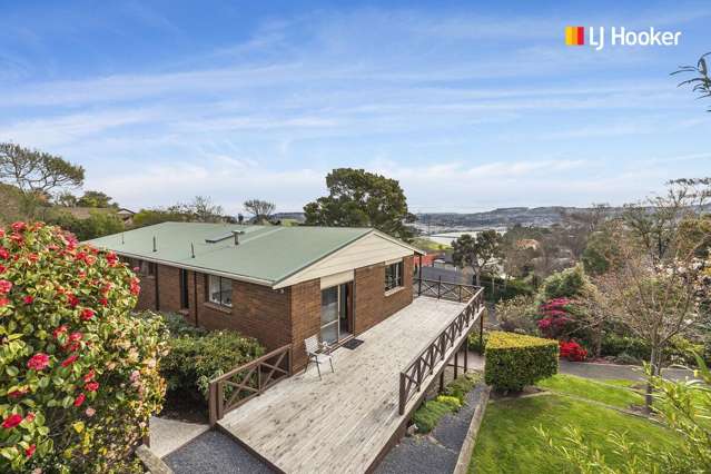 Incredible Value In Andersons Bay