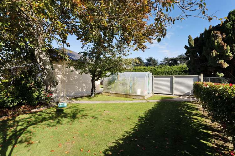 223 Roslyn Road Roslyn Bush_15