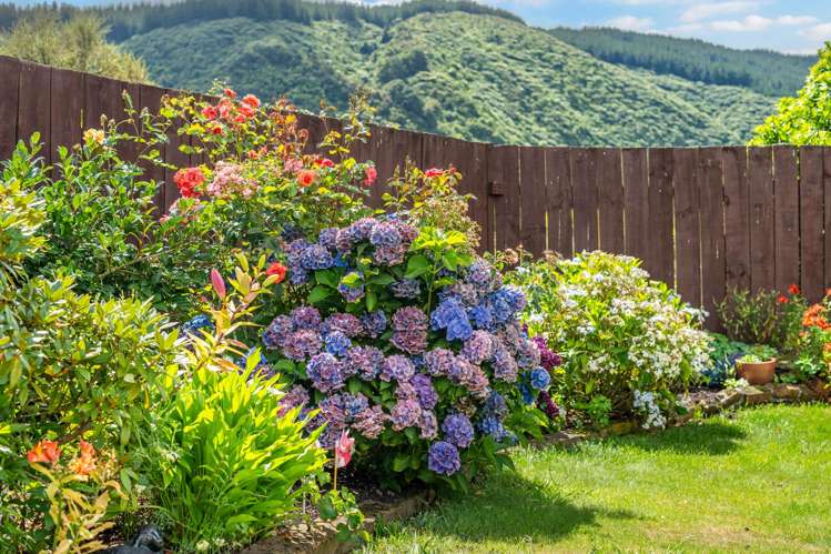 31 Amber Grove Birchville_17