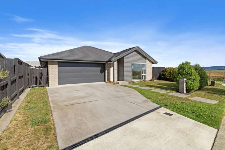 17 Morrin Street_0