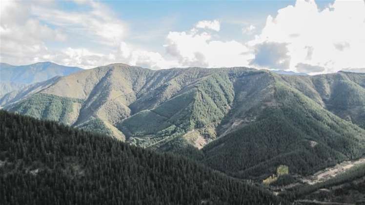 1234 Leatham Road Wairau Valley_18