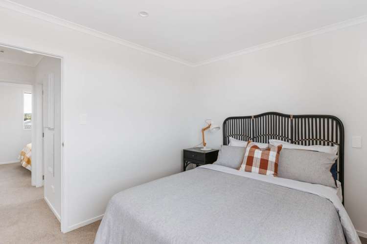 5 Te Ara Tanekaha Omokoroa_18