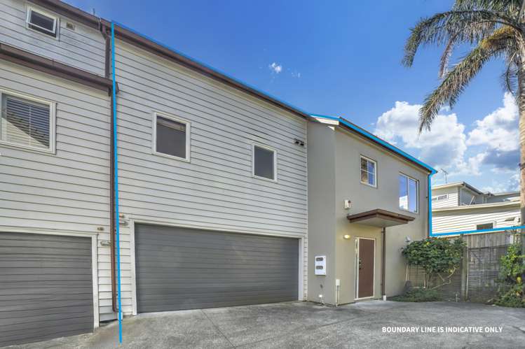 612D Manukau Road Epsom_21