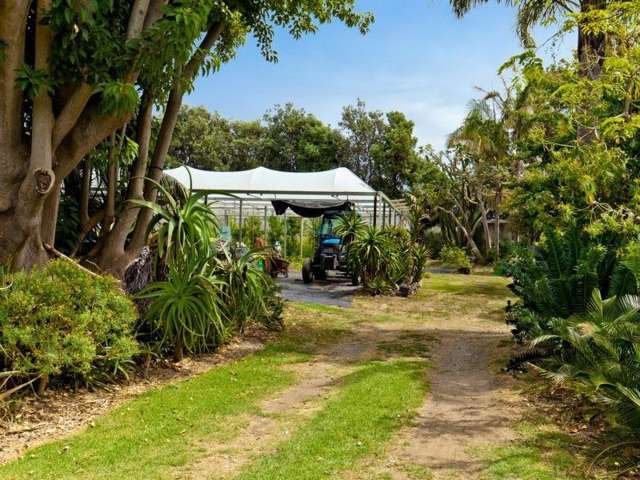 166a Rimmer Road Helensville_4