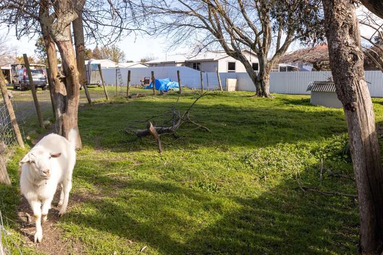 4 March Street Spring Creek_9