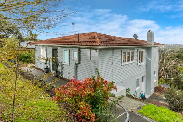 86 Shetland Street Glen Eden_2