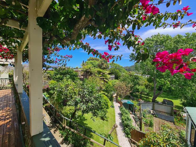 1225 Rings Road Coromandel_20