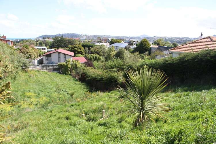 8 Gala Street Waverley_7