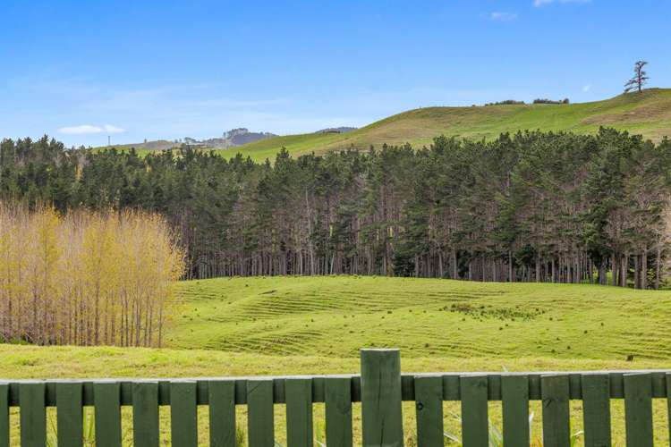 4062 Kaipara Coast Highway Tauhoa_16