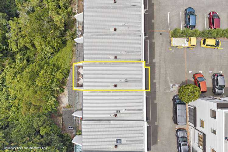 3D Laxon Terrace Remuera_29