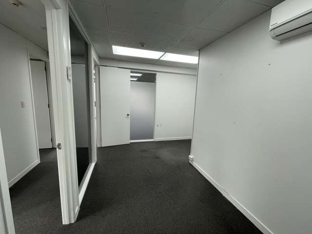 97 Manukau Road Epsom_4