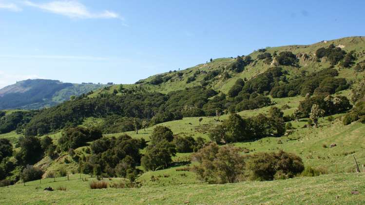 1050 Ellis Wallace Road Eskdale_3