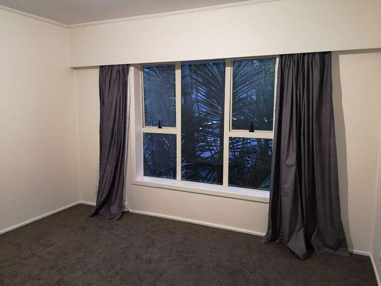 54a Francis Street Hauraki_8