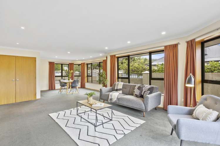 227 Forbury Road Saint Clair_2