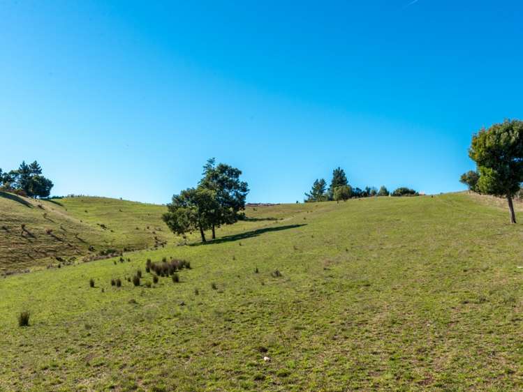 22 Kina Peninsula Road Tasman_14