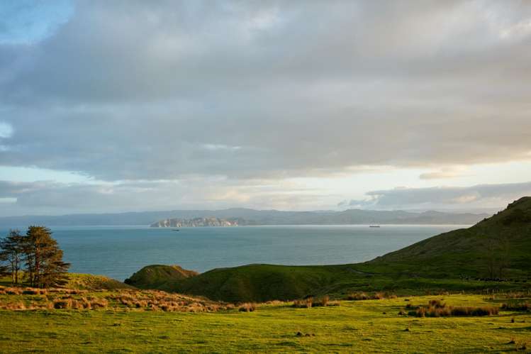 Lot 3/611 Wainui Road Wainui_17