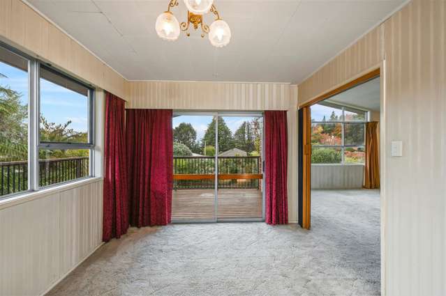 401d Old Taupo Road Springfield_3