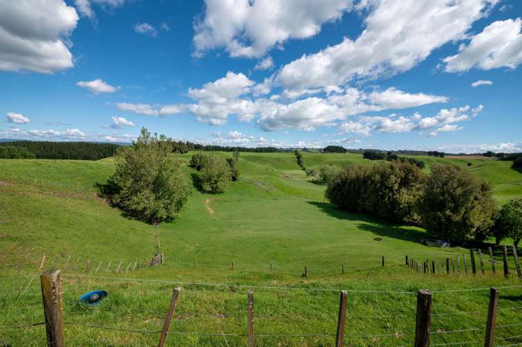 538 Kapukapu Road Kaharoa_30