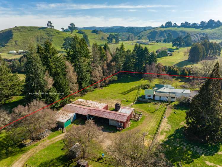 349 Whangamata Road Kinloch_13