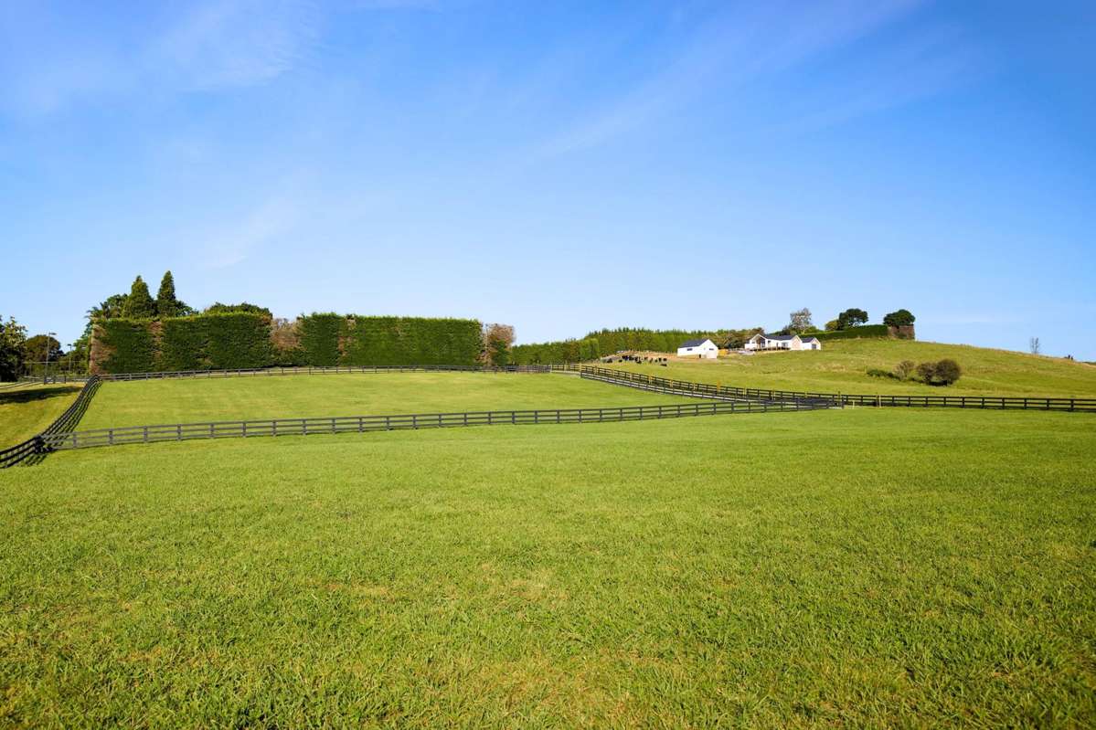 196C Pukemapu Road_3