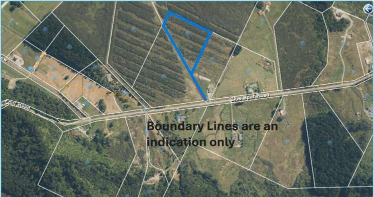 Lot 1/DP2740 Blue Spur Road_0