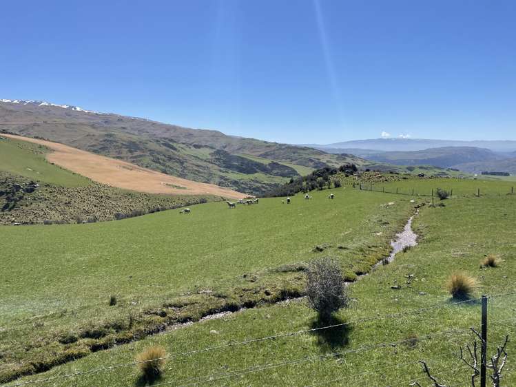 2472 Fruitlands-Roxburgh Roxburgh_6