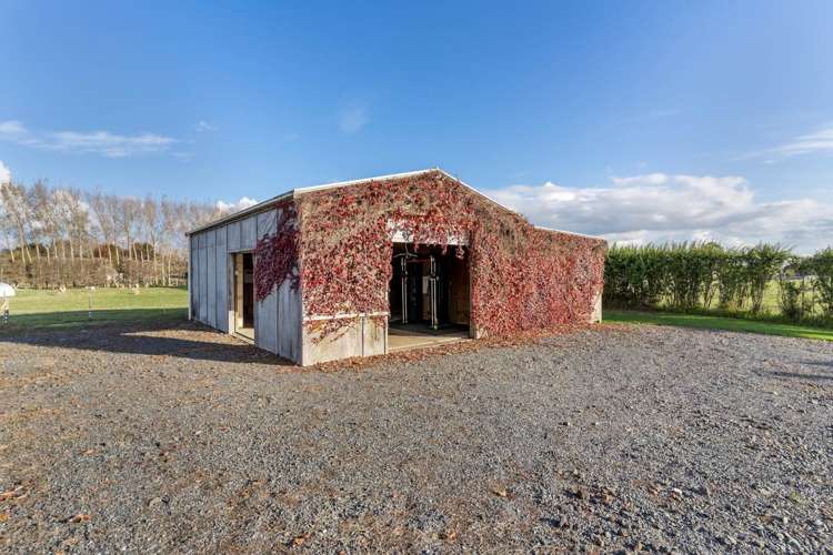 190a Ellett Road Karaka_28