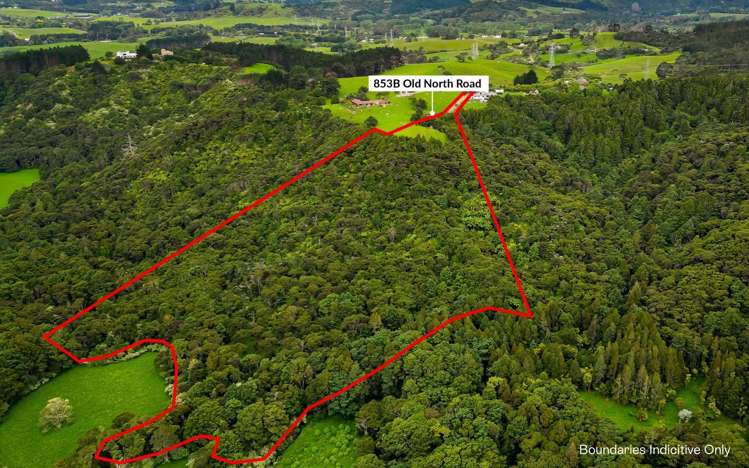 853B Old North Road Waimauku_7