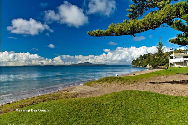 Lots 2, 3, 5, 6 20 Penzance Road Mairangi Bay_12