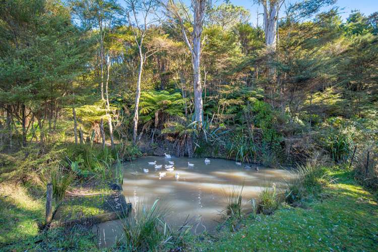 341 Kanohi Road Kaukapakapa_17