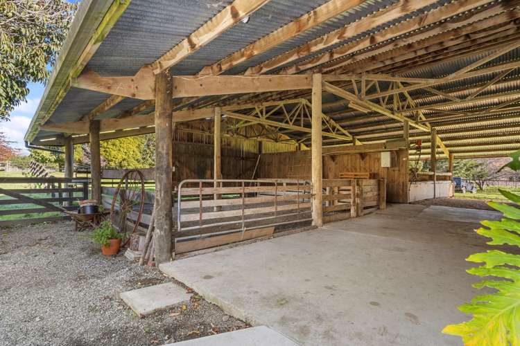 356 Eighty Eight Valley Road Eighty Eight Valley_20