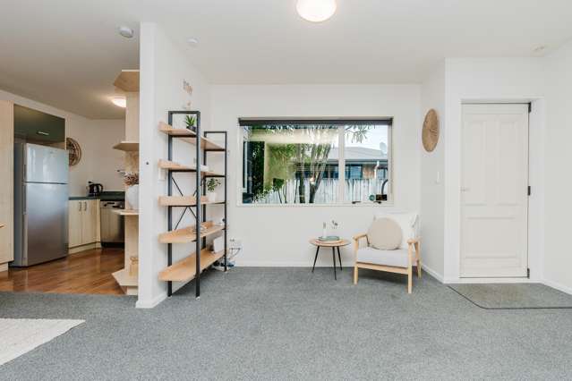 28 Maitland Street Frankton_2