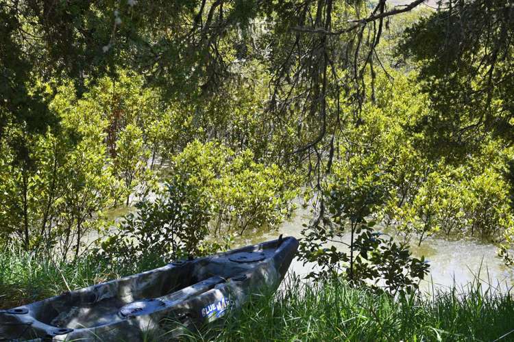 107 Jumna Road Maungaturoto_17