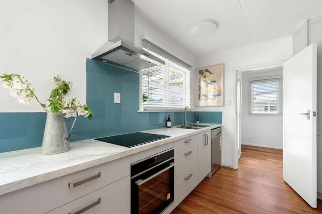 21 Turenne Street Inner Kaiti_3