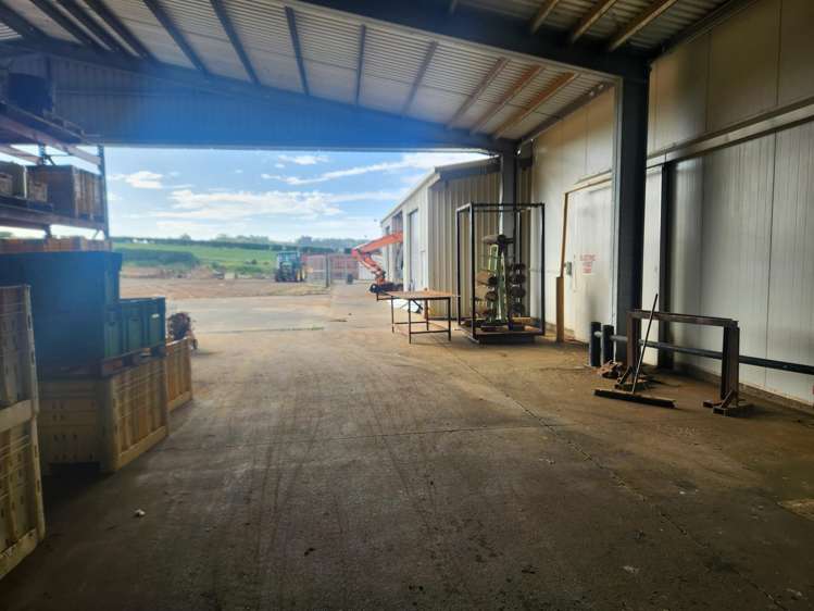 29 Dazeley Road Puni_9