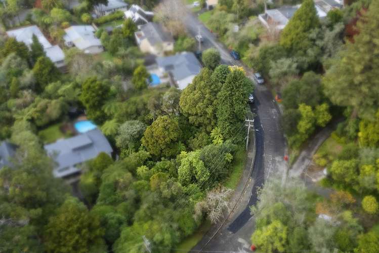 81 Wyndham Road Pinehaven_2