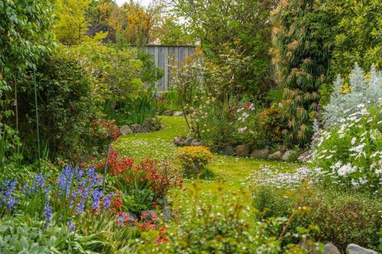 125 Lincoln Road Masterton_2