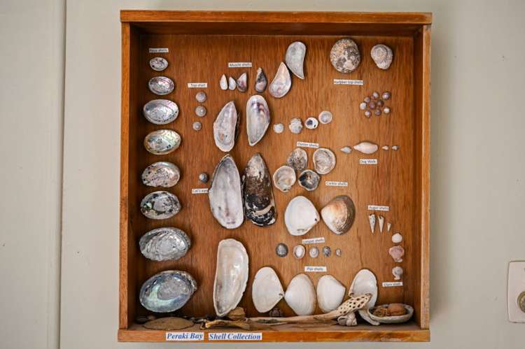 7 Factory Road Little Akaloa_21