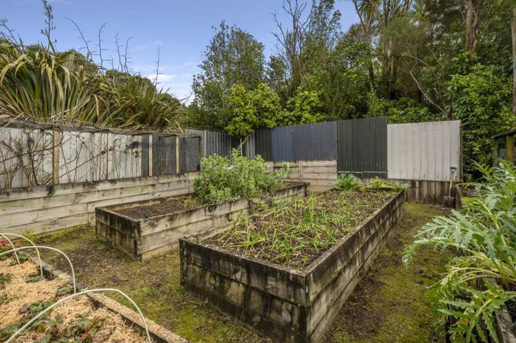 695A Esdaile Road Whakamarama_28