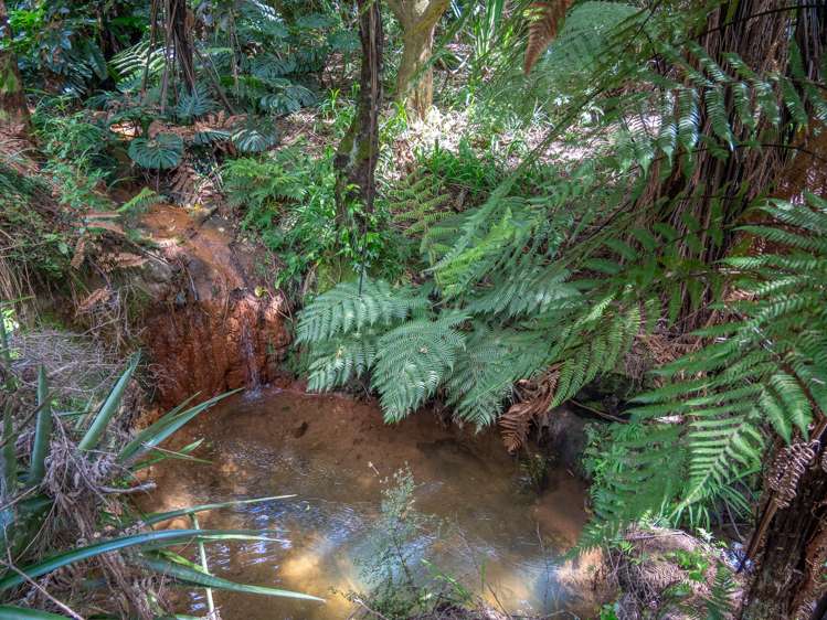 82 Turvey Road Mangonui_41