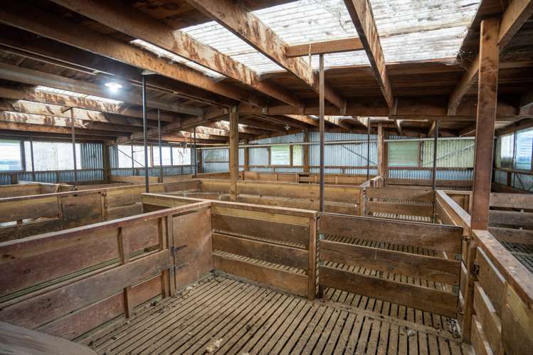 440 Waimea Highway Gore Surrounds_3