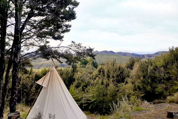 50 Terako Terrace Lyford_1