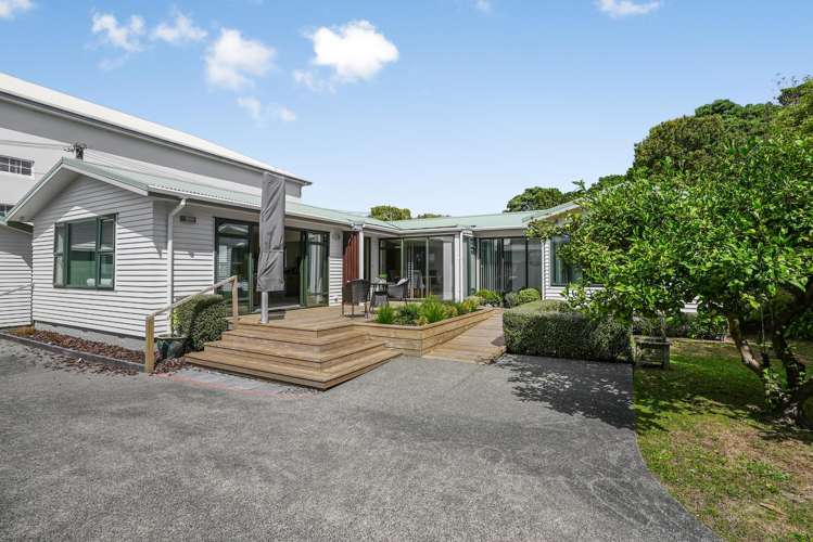 36a Britannia Street Petone_1