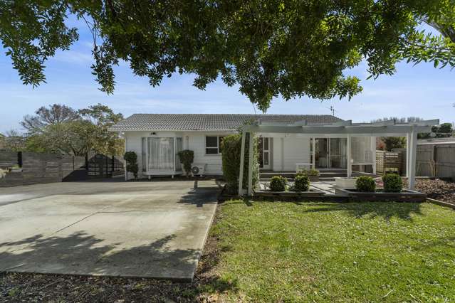 43 Archmillen Avenue Pakuranga Heights_1