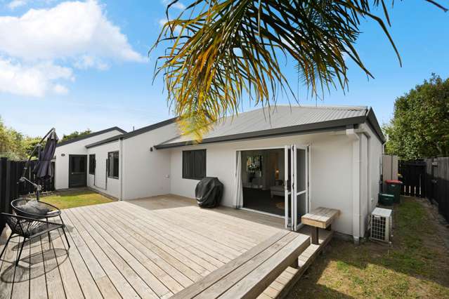 19A St Winifreds Avenue Hamilton East_1