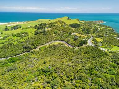 Pt Waiwhatawhata 1A3 State Highway 12_1