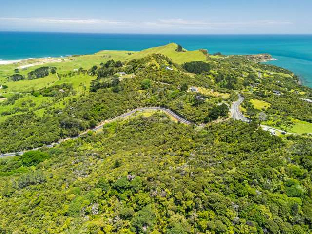 Pt Waiwhatawhata 1A3 State Highway 12 Omapere_1